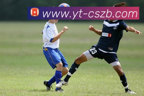 彩神争霸平台生态图